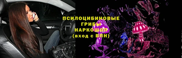 гашик Алзамай