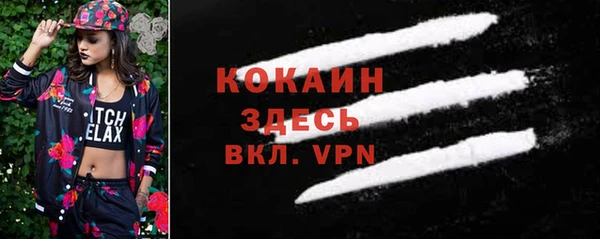 гашик Алзамай