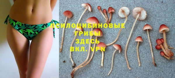 гашик Алзамай