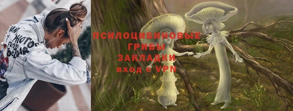 амф Алексин