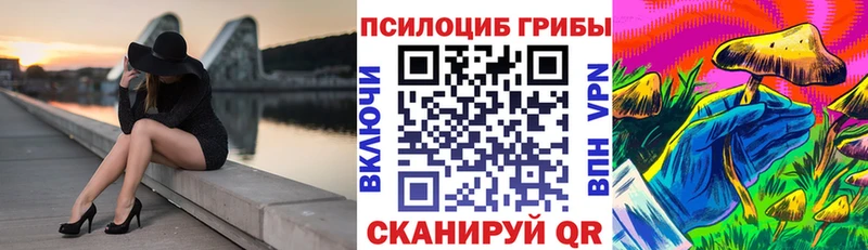 что такое Гдов kraken ONION Псилоцибиновые грибы мицелий
